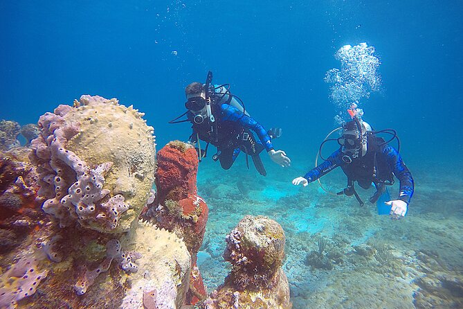 2 Days Class: SDI Open Water Diver Certification in Cancun - Day 1: Pool Skills, Then Two Underwater Training Locations