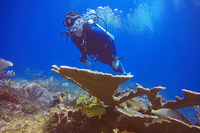 2 Days Class: SDI Open Water Diver Certification in Cancun - Gear and Inclusions: What You Don’t Have to Worry About