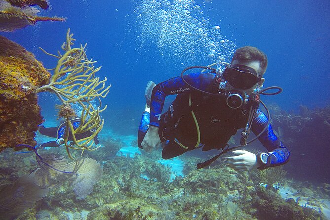 2 Days Class: SDI Open Water Diver Certification in Cancun - Price and Value: Is $600 Worth It?