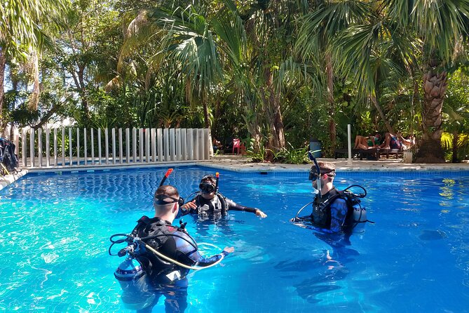 2 Days Class: SDI Open Water Diver Certification in Cancun - Day 2: More Practice, Then Certification