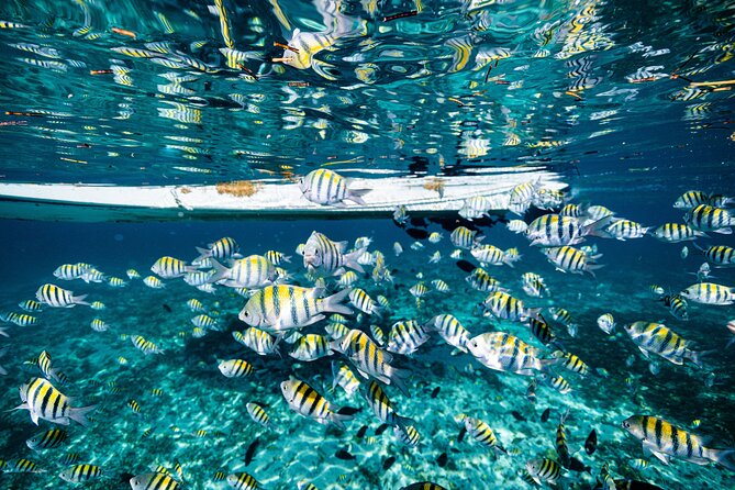 2 in 1 Parasail Cancun and Jet ski - Who this combo fits best (and who might be happier elsewhere)