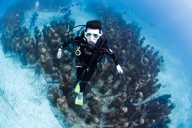 2 Tank Dives MUSA and Manchones reef (Certified divers) - MUSA and Manchones: why this tour feels practical, not touristy