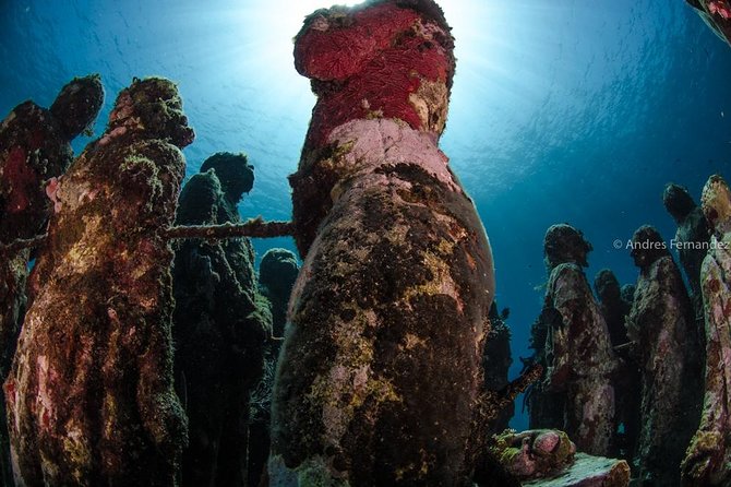 2 Tank Dives MUSA and Manchones reef (Certified divers) - What you’ll see: MUSA sculptures plus reef fish at Manchones