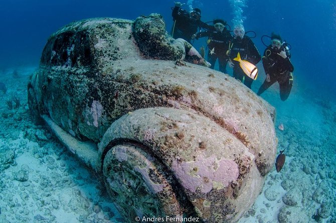 2 Tank Dives MUSA and Manchones reef (Certified divers) - Small-group scuba comfort (max 12) and the guides who make it better