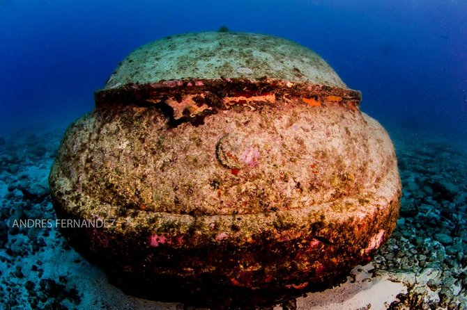 2 Tank Dives MUSA and Manchones reef (Certified divers) - Two tank sessions at shallow depths (25–33 feet / 7–10 meters)