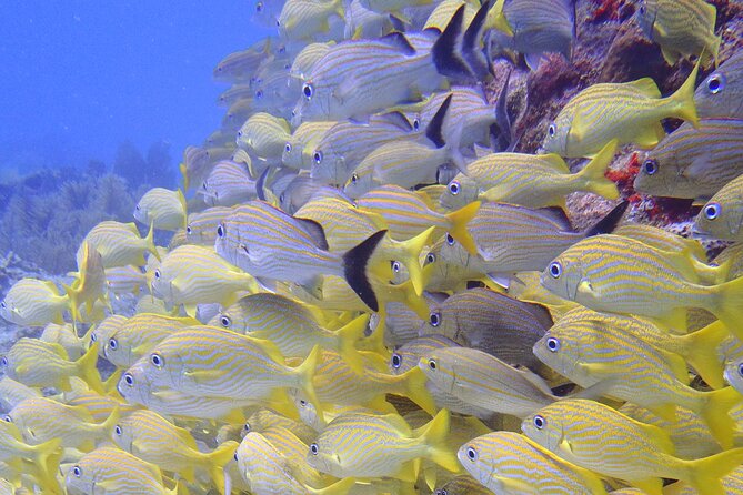 2 Tank Reef Dive in Mexico - The in-between reset: snack, a short ride, and a full gear swap