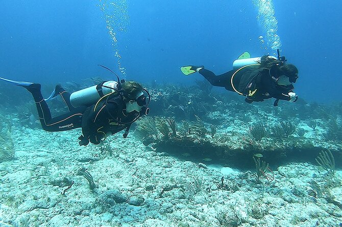 2 Tank Reef Dive in Mexico - Reef etiquette that they take seriously: skip lotions, use their wetsuits
