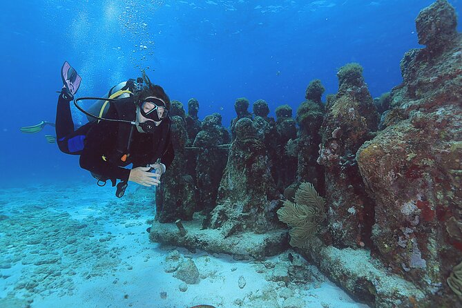 2 Tanks Dives Cancun Underwater Museum for Certified Divers - First Tank at MUSA Underwater Museum: Beginner-Friendly, But Still Certified