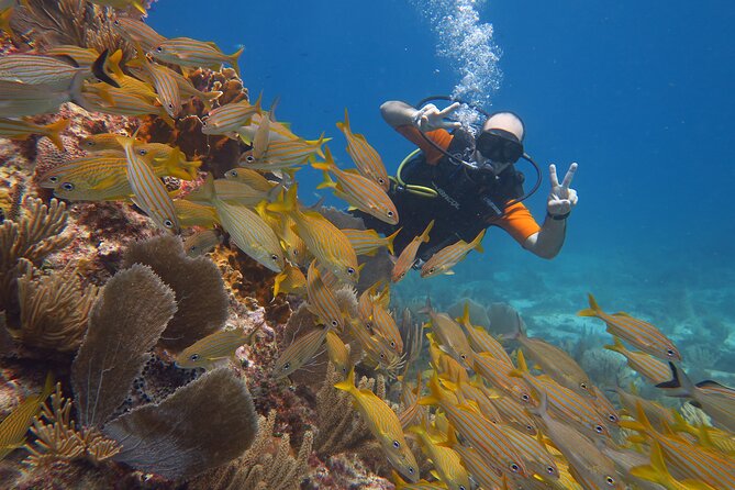2 Tanks Dives Cancun Underwater Museum for Certified Divers - Instructor Style and Small-Group Attention (Marin and Carolina)
