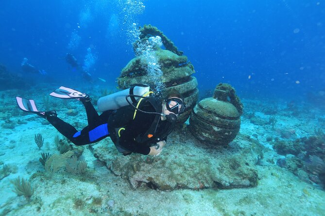 2 Tanks Dives Cancun Underwater Museum for Certified Divers - Morning Check-In to Return Around 1:00: The Real Schedule