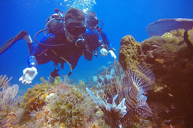 2 Tanks Scuba Diving in Punta Cancun Reefs for Certified Divers - Where the experience starts: Hotel Sotavento and a tight afternoon schedule