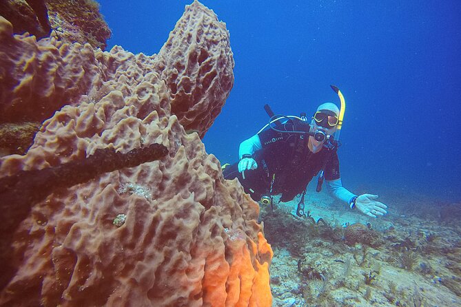 2 Tanks Scuba Diving in Punta Cancun Reefs for Certified Divers - The people make the difference: Marin and Carolina’s guiding style