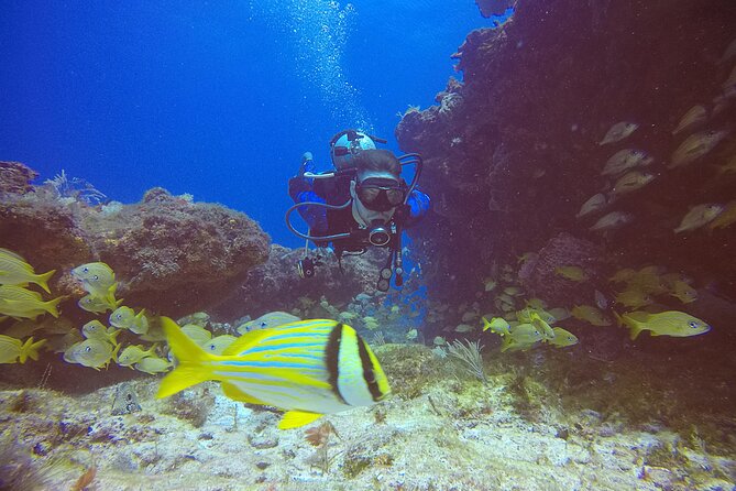 2 Tanks Scuba Diving in Punta Cancun Reefs for Certified Divers - Medical statement + certification card: your must-haves before boarding