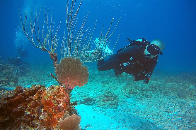 2 Tanks Scuba Diving Wreck and Reef in Cancun for Certified Divers - Small group reality: how it feels with max 6 people