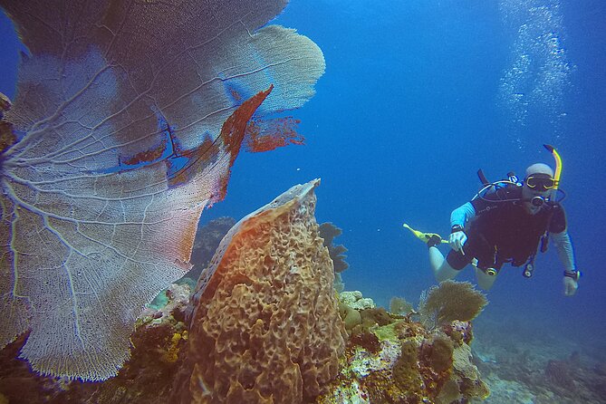 2 Tanks Scuba Diving Wreck and Reef in Cancun for Certified Divers - Gear checklist: what to bring and what to avoid