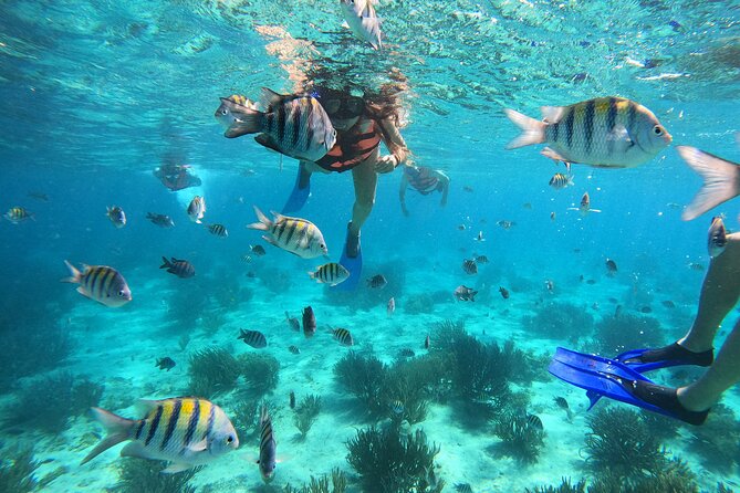 3 Hours VIP Semiprivate Tour Isla Mujeres Full Snorkeling Experience - Key things I’d circle before you go