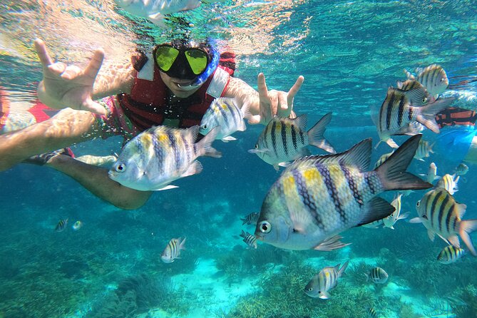 3 Hours VIP Semiprivate Tour Isla Mujeres Full Snorkeling Experience - Boat time, group size, and what you should really expect