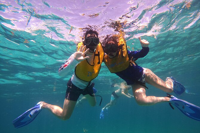 3 in 1 Jungle Tour Adventure Cancun - MUSA Underwater Museum: art you can see up close while staying afloat