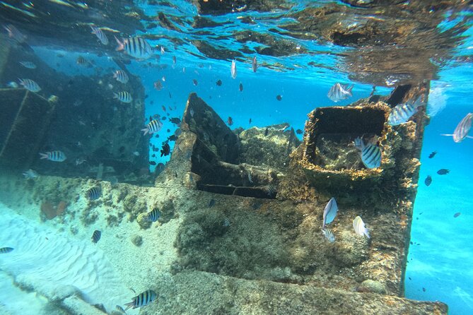 3 in 1 Jungle Tour Adventure Cancun - Cenote swimming and a shipwreck stop for variety under the water