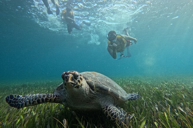 3 in 1 Jungle Tour Adventure Cancun - What “drive your own speedboat” really means