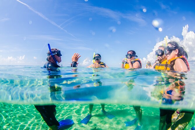3-in-1 Puerto Morelos: Snorkeling, Tequila & Beachside Lunch - Great Maya Reef Snorkeling: Wildlife, Safety Rules, and Time in the Water