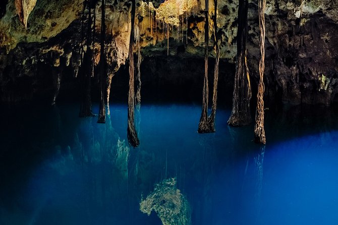 4-in-1 Cenote Tour Guided Experience with Breakfast, Lunch & Wine - Lu’um (Earth) rappel: seeing the cenote from above