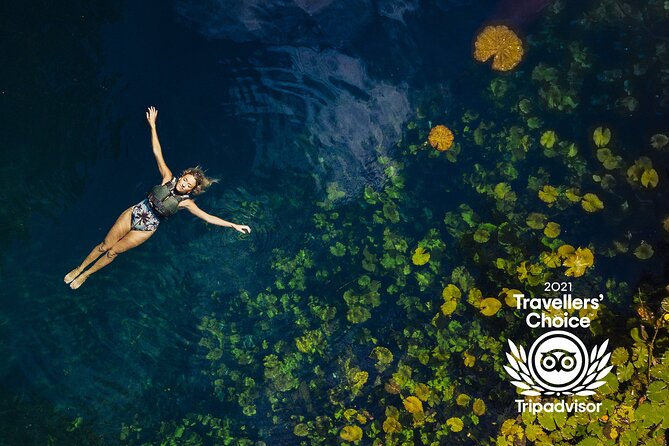 4-in-1 Cenote Tour Guided Experience with Breakfast, Lunch & Wine - Getting between cenotes: short transfers and the “active all day” reality