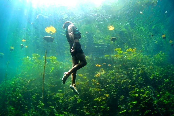 4-in-1 Cenote Tour Guided Experience with Breakfast, Lunch & Wine - Breakfast plus the Mayan Alux story before you hit the water