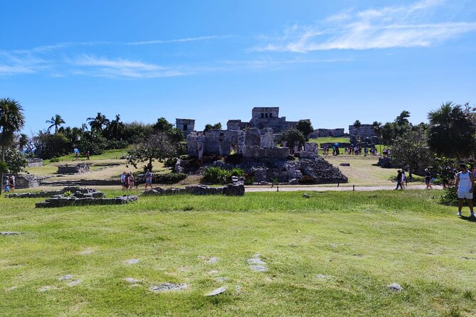 4X1 TOUR Tulum, Coba, Cenote & Playa del Carmen with buffet - Price and logistics: the $29 headline versus on-site realities