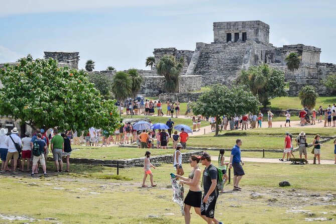 4X1 TOUR Tulum, Coba, Cenote & Playa del Carmen with buffet - Quinta Avenida in Playa del Carmen: shopping with a short leash