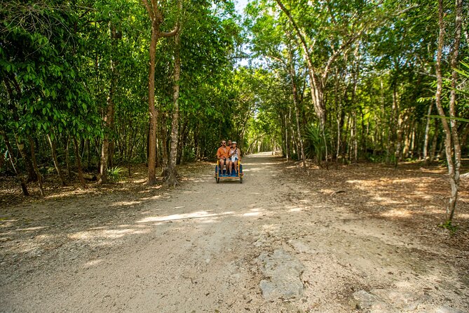 4x1 Tulum, Coba, Cenote & Playa del Carmen from Cancun - Cenote Kuxtal swim: the cool-down you came for