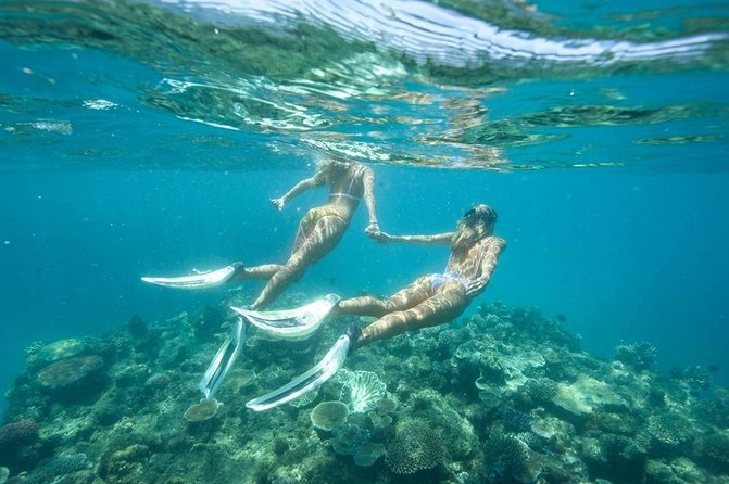 5-in-1 Adventure in Cancun: ATVs, Ziplines, Speed Boat, Snorkel and Cenote Swim - Timing and the shared-tour reality: why the day can run long