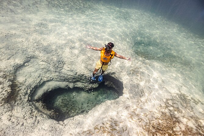 5-in-1 Cancun Snorkeling Tour with Sea Life & Transport Included - Key reasons this 5-in-1 Cancun snorkel tour works
