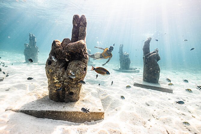 5-in-1 Cancun Snorkeling Tour with Sea Life & Transport Included - Stop 3: Turtles, rays, and guided spotting