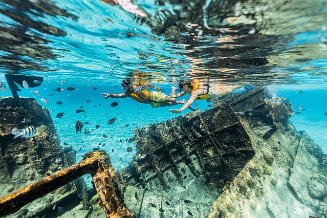 5-in-1 Cancun Snorkeling Tour with Sea Life & Transport Included - Stop 4: Shipwreck snorkeling with coral and clear water