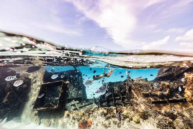 5-in-1 Cancun Snorkeling Tour with Sea Life & Transport Included - Stop 5: A cenote swim and why the last stop feels special