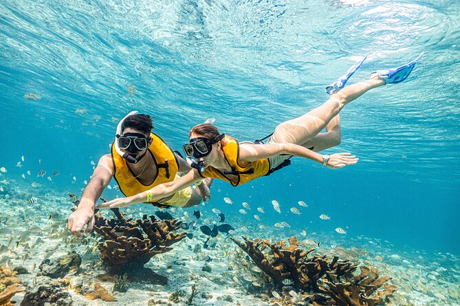 5-in-1 Cancun Snorkeling Tour with Sea Life & Transport Included - Guide energy, timing, and the photo/video reality check