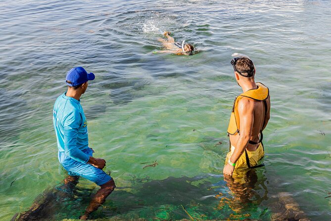 5-in-1 Cancun Snorkeling: Turtles, Reef, Musa, Shipwreck, Cenote - Price and Value at $79: What You’re Actually Getting