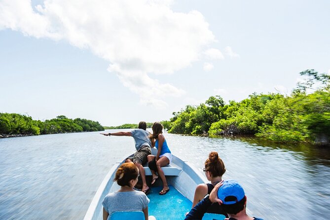 Adventour Day: Coloradas and Rio Lagartos Excursion from Cancun! - Las Coloradas: the pink lagoon science you can actually see