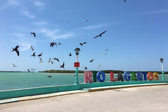 Adventour Day: Coloradas and Rio Lagartos Excursion from Cancun! - Who should book this Las Coloradas and Rio Lagartos day trip