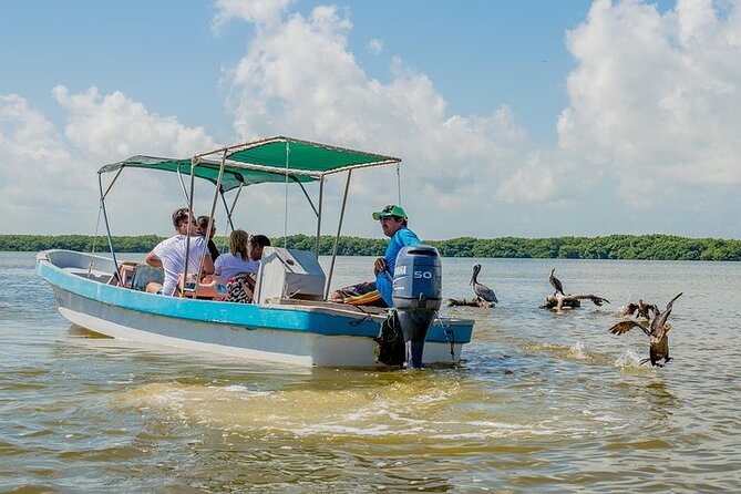Adventour Day: Coloradas and Rio Lagartos Excursion from Cancun! - Should you book? My practical verdict