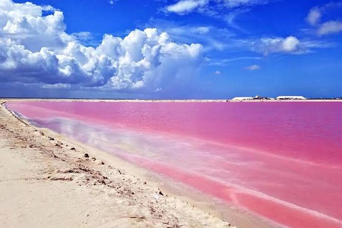 Adventour Day: Coloradas and Rio Lagartos Excursion from Cancun! - Rio Lagartos: mangroves, wetlands, and bird-filled calm