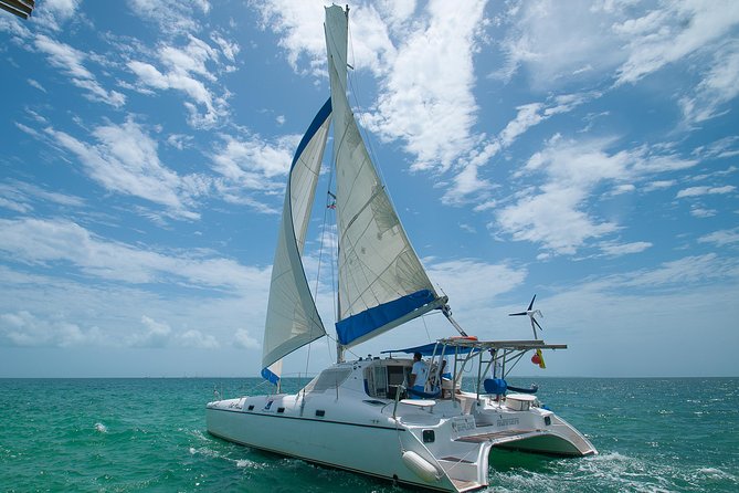Afternoon Half-Day Catmaran Sailing and Snorkel Adventure - From the marina to snorkeling: what your sea day feels like