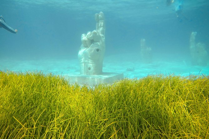 Afternoon Half-Day Catmaran Sailing and Snorkel Adventure - Isla Mujeres free time: two hours to do it your way