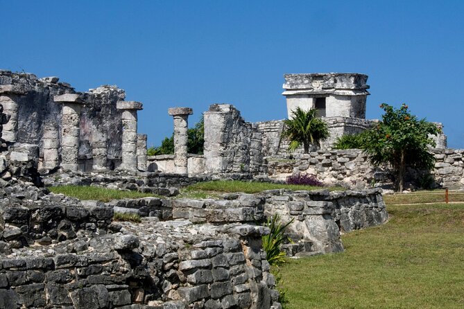 Akumal paradise tour Swimming with Turtles & ancient Tulum Ruins. Lunch included - The Akumal boat ride: the Caribbean Sea moment you came for
