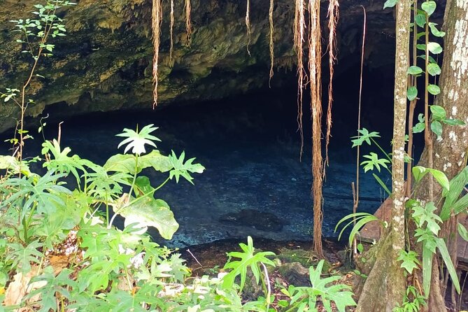 Akumal paradise tour Swimming with Turtles & ancient Tulum Ruins. Lunch included - Cenote No-ho Much: how the day adds a cool, different kind of water time