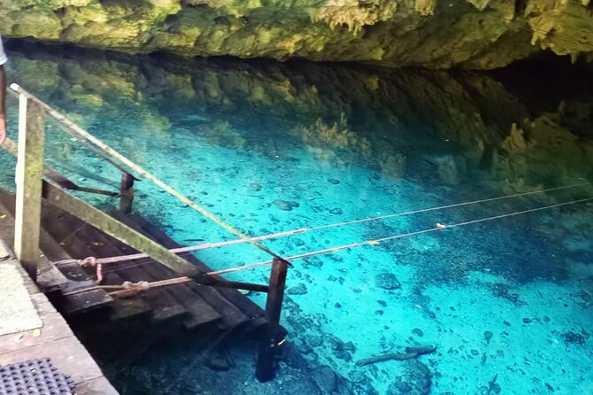 Akumal paradise tour Swimming with Turtles & ancient Tulum Ruins. Lunch included - Akumal Beach + lunch: where the practical comfort kicks in