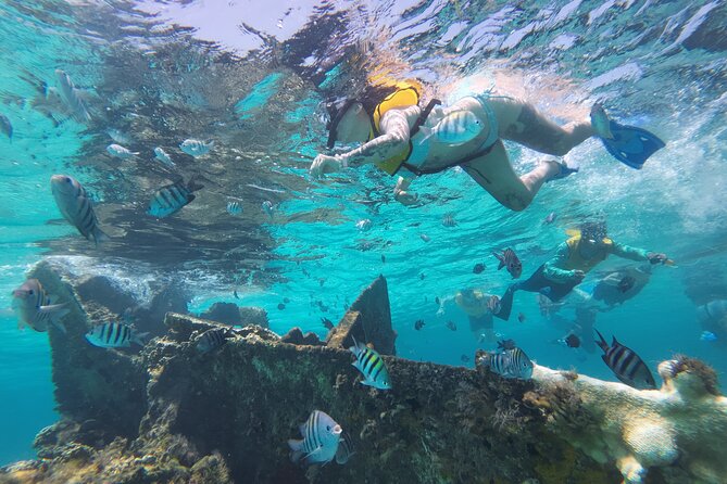 All-Inclusive Isla Mujeres Catamaran with Free Transportation - Blanquizal sandbar swim stop: the turquoise-water break