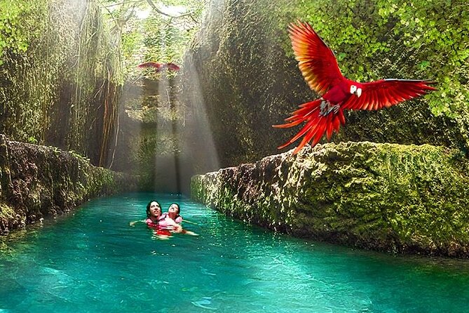 All-inclusive Xcaret Park with Transportation from Cancun & Playa Del Carmen - Who This Xcaret Tour Fits Best