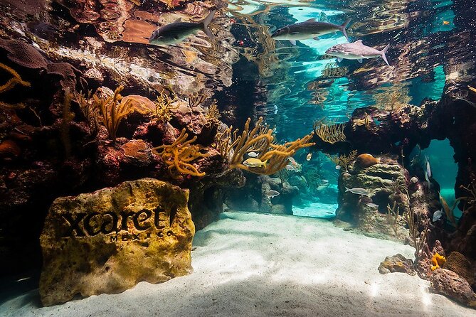 All-inclusive Xcaret Park with Transportation from Cancun & Playa Del Carmen - Entering Xcaret: Your 10-Hour Park Game Plan